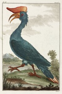 ホーンビル(Hornbill) 作： Unbekannt