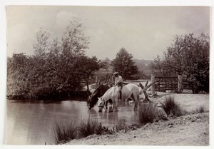 池で水を飲む馬たち（1890年頃 作： Unbekannt