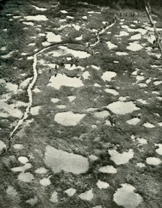天候が前進を妨げた方法、1919年。 作： Unbekannt