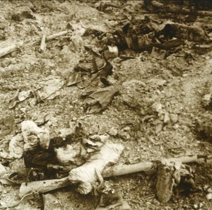 人間の遺体、北フランス、ヴェルダン、c1914-c1918 作： Unbekannt