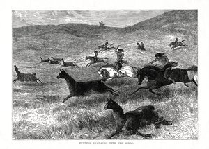 1877年、南米ボーラスでグアナコスを狩猟 作： Unbekannt