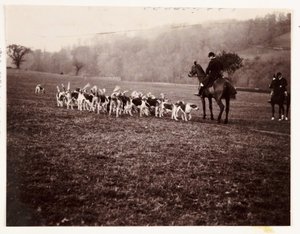 ハンツマンと猟犬、1905年頃 作： Unbekannt