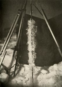 フィッシュトラップのライン上に形成された氷の結晶、c1908、1909 作： Unbekannt
