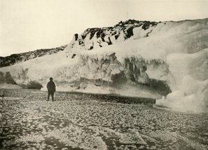 冬の初めに新しく形成された海氷上の氷の花、c1908、1909。 作： Unbekannt
