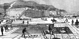 1875年、ニューヨーク州近くのハドソン川での集氷 作： Unbekannt