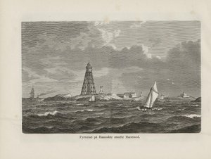 アルベール・ボニエ社から出版された著者不明の書籍「Nordiska taflor」からの抜粋です。 作： Unbekannt