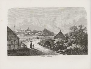 アルベール・ボニエ社から出版された著者不明の書籍「Nordiska taflor」からの抜粋です。 作： Unbekannt