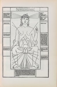 Johannes de Ketham による「Fasciculo di medicina」のイラスト、1493 年。 作： Unbekannt