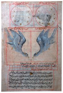 南半球の星座図、16 世紀 作： Unbekannt