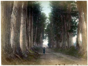 Imaichi Road at Nikko, Japan, early 20th century