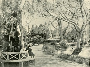植物園、アデレード、1901年。 作： Unbekannt