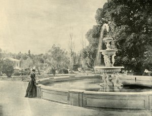 植物園、アデレード、1901年。