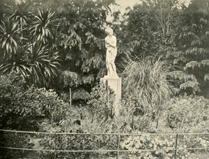 フィッツロイ庭園、メルボルン、1901年。 作： Unbekannt