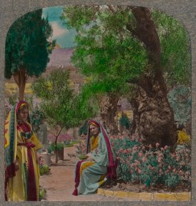 ゲッセマネの園、c1900 作： Unbekannt