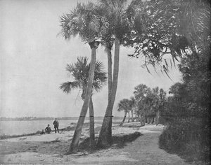 インディアンリバー、フロリダ、c1897。 作： Unbekannt