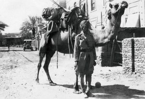 インドのラクダ隊員、バグダッド、1918年