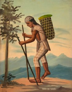 インディオ・サパロ、1914年以前。 作： Unbekannt