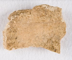 内接骨片 甲骨、殷王朝後期、約 紀元前1300～1050年。 作： Unbekannt