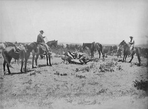 大草原でのブランドの検査、c1897。