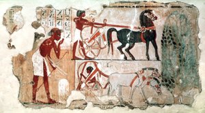 フィールドの検査、紀元前1350年