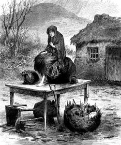 家族を守るアイルランドの農民の少女が数少ない所有物を所有している、1886 作： Unbekannt