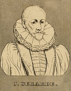 J.ジェラルデ、c1545-1612、1830。