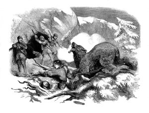 ジャックカーリングスは猛烈なクマからの脱出を狭めました、1855年