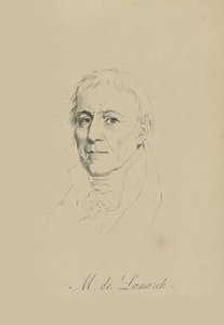 ジャンバティストピエールアントワーヌドモネ、シュヴァリエドラマルク1744-1829、c。 1810年。 作： Unbekannt