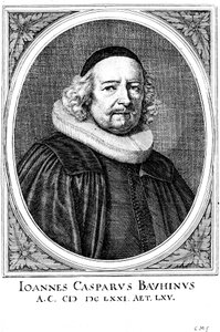 Jean Caspar Bauhin 1606-1659、スイスの医師兼植物学者