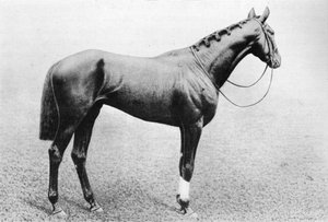 ジェッダ、1895-1909、1911 作： Unbekannt