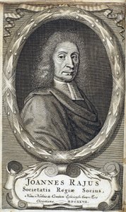 ジョン・レイ（レイ）、イギリスの博物学者、1700年頃 作： Unbekannt