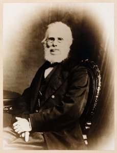 ジョン・ストリングフェロー、イギリスの先駆的飛行家、1880年頃 作： Unbekannt