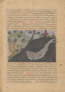 ヨナとクジラ、マジュマ・アル・タバリフ歴史大要からのフォリオ...、約。 1425年。 作： Unbekannt