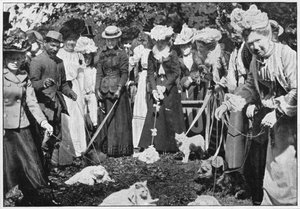 王立植物園のショー、キュー、ロンドン、c1900 1901で猫を判断 作： Unbekannt