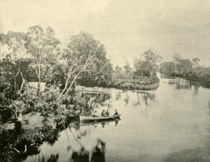 グレンガリーとトンプソン川の合流点、ビクトリア州、1901年。 作： Unbekannt