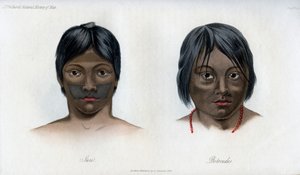 ブラジルガラニ国家のジュリとボトクドス、1848 作： Unbekannt