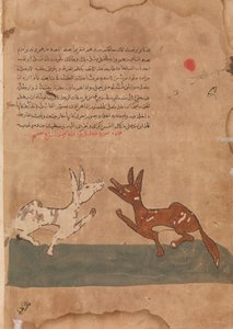 カリラとディムナがライオンの親友になるというディムナの計画について話し合う.18 世紀. 作： Unbekannt