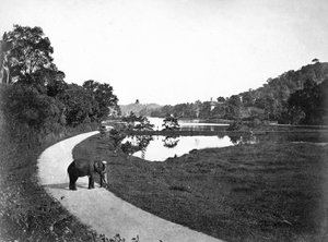 キャンディ湖、キャンディ、スリランカ、c1910s