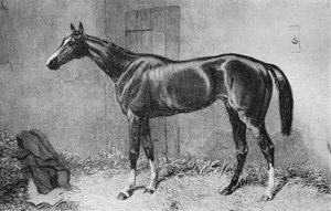ケトルドラム、c1860s、1911 作： Unbekannt