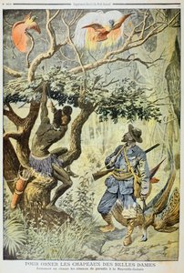 極楽鳥の殺害、ニューギニア、1908 作： Unbekannt