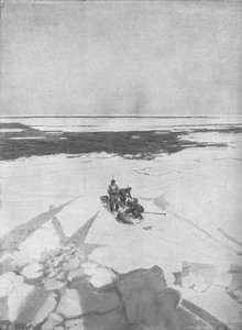 キリングシール、1911、1928 作： Unbekannt
