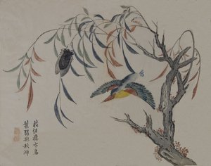 カワセミ、蝉、柳の木、19 世紀。 作： Unbekannt