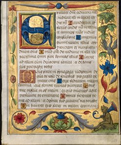 詩篇と祈祷書からの葉：装飾ボーダー付きの最初のE ...直腸、c。 1524。