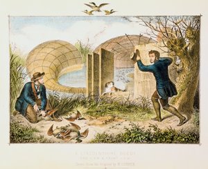 リンカンシャーダックデコイ、c1845 作： Unbekannt