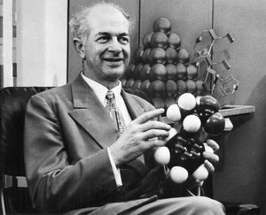 Linus Pauling、アメリカの化学者、c1954