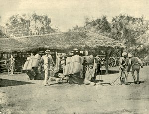 オーストラリアの駅でのラクダの積み込み、1901年。 作： Unbekannt