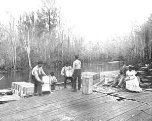 米国フロリダ州オクラワハ川にオレンジをロード、c1900。