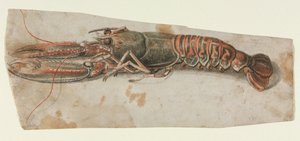 ロブスター、1600年代。 作： Unbekannt