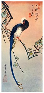 1925世紀の花の梅の木の枝に長い尾を持つ青い鳥 作： Unbekannt