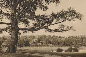カーンウッドの緑の斜面から古いハイゲートの教会の尖塔、c1935に向かって見る。 作： Unbekannt